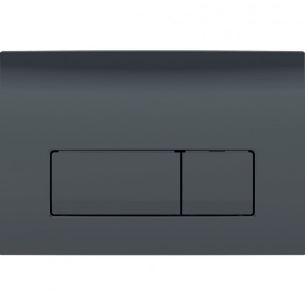 Кнопка зливу Delta50 115.119.DW.1 чорний Geberit Geberit