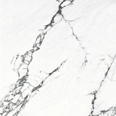 120x120 CALACATTA BLACK POLISHED RECT. Calacatta Black из коллекции Calacatta Black 120x120 CALACATTA BLACK POLISHED RECT. Calacatta Black из коллекции Calacatta Black
