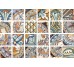 Плитка 20x20 Signorie G - CM Corti di Canepa з колекції CM Corti di Canepa Del Conca