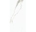 Плитка (37.5x75) UM6S37260 Statuario Ultra Soft - Ultra Marmi з колекції Ultra Marmi Ariostea