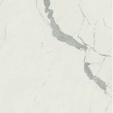 (60x60) ACCY An. Statuario 60Rt Rt - Anima з колекції Anima Anima Керамічна плитка Caesar