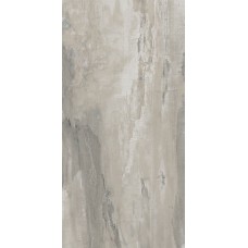 (49.6x99.5) PO140R Petrified Wood Grey Rettificato - Petrified Wood з колекції Petrified Wood Ascot