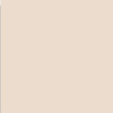 Beige Mate 20x20 Satinados з колекції Satinados Satinados Керамічна плитка Vives