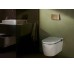Панель смыва iFrame Element E Brushed Bronze (66003140)