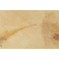 (60.4x90.6) 2FO99SR X2Fossilia Dorato R - Fossilia з колекції Fossilia (60.4x90.6) 2FO99SR X2Fossilia Dorato R - Fossilia з колекції Fossilia