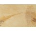 Плитка (60.4x90.6) 2FO99SR X2Fossilia Dorato R - Fossilia з колекції Fossilia COEM