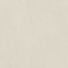 20x20 Liquida Bone Nat Ret - Fio.Liquida - CLQ20S1 з колекції Fio.Liquida Fio.Liquida Плитка Fioranese