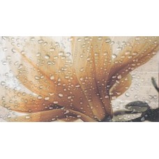 Декор (32.5х60) OCEAN CREMA A з колекції Ocean Декор (32.5х60) OCEAN CREMA A з колекції Ocean