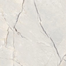 120x120 PF60009017 Spr.Treas.Greylac Plat LuxR Supreme Treasure з колекції Supreme Treasure 120x120 PF60009017 Spr.Treas.Greylac Plat LuxR Supreme Treasure з колекції Supreme Treasure SUPREME TREASURE Керамічна плитка Flaviker
