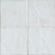 (20x20) fMTI Firenze Heritage Maiolica Bianca - Firenze Heritage з колекції Firenze Heritage FAP (20x20) fMTI Firenze Heritage Maiolica Bianca - Firenze Heritage з колекції Firenze Heritage FAP Firenze Heritage Керамічна плитка FAP Ceramiche