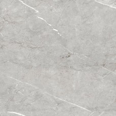 Columbia Perla Mate Satinado Rect - 60x60  Columbia з колекції Columbia Columbia