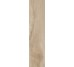 Плитка Leccio Gentile - 10x40 1086626 I Lecci з колекції I Lecci Serenissima