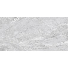 Premium Silver Pulido - 60x120 Premium з колекції Premium Premium