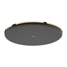 Верхній душ Raindance Alive S 300 1jet EcoSmart Polished Gold Optic (24521990) Верхній душ Raindance Alive S 300 1jet EcoSmart Polished Gold Optic (24521990)