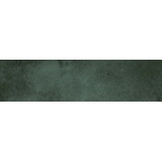 EARTH AMAZON MATT 7.5х30 (настенная) EARTH AMAZON MATT 7.5х30 (настенная)