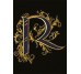 Декор 14,5x19,4 Lettera Nera R - Alphabet - 489870 з колекції Alphabet Versace