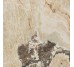 Плитка Golden Blend Glossy 80x80 Onyx More Casa Dolce Casa з колекції Onyx More Casa Dolce Casa