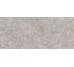 G2704 FIORI DI BOSCO POLISHED 04 120x270 (настенная плитка)