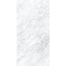 60x120 Ae. Supre. Luc - Anima Ever - AFBK злекції Anima Ever 60x120 Ae. Supre. Luc - Anima Ever - AFBK злекції Anima Ever Anima Ever Керамическая плитка Caesar