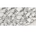 Плитка Marvilla Borromini Mat Ret - 60x120 8202021 Marvilla з колекції Marvilla Alfalux
