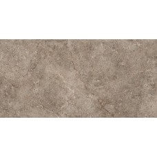 Lst Earth Rett 20 Mm - 60x120 LST69RT Landstone з колекції Landstone