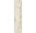 Плитка Invictus Beige Kry - 7.3x29.6 CSAINBK730 Invictus з колекції Invictus Santagostino