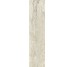 Плитка Invictus Beige Kry - 7.3x29.6 CSAINBK730 Invictus з колекції Invictus Santagostino