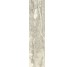 Плитка Invictus Beige Kry - 7.3x29.6 CSAINBK730 Invictus з колекції Invictus Santagostino