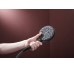 Ручной душ Raindance Alive Select S 3Jet EcoSmart+ Matt Black (24512670)