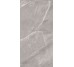 Плитка SUPREME GREY LUCIDO - 60x120 15460272 Supreme з колекції Supreme Casalgrande Padana