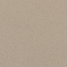 Prtu 60B Rm 60x60 Parade з колекції Parade