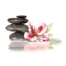 Декор Deco Rock Flowers Brazil Nieve 50Х73 з колекції Brazil Ceramica Декор Deco Rock Flowers Brazil Nieve 50Х73 з колекції Brazil Ceramica