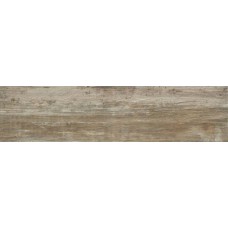 (24.6x100) 75451 Fiemme Naturale IRettificato - Echo з колекції Echo