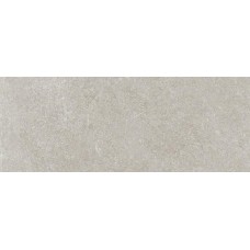 Silver 45x120 Verbier з колекції Verbier Verbier Venis