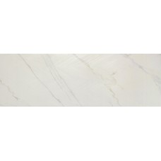 40x120 Rectificado 1203 Natural Brillo Relieve-1203 з колекції 1203