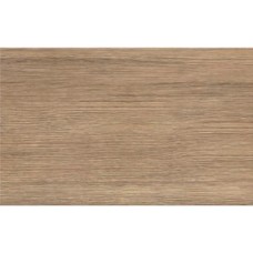 Кафель д/стены REINA BROWN Mat 25х40 Кафель д/стены REINA BROWN Mat 25х40 Reina Керамическая плитка Cersanit