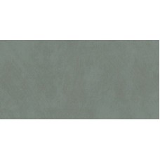 (30x60) LJ86 OliveR - Wide из коллекции Wide
