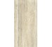 Плитка Invictus Rig Beige - 60x120 CSAINVBR12 Invictus из коллекции Invictus Santagostino