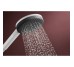 RAINDANCE ALIVE SELECT S ручний душ (3 типи струменів RainAir, PowderRain, Massage), білий матовий