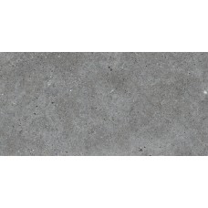 30x60 Basel Grafitor-Basel-FKTR057101 з колекції Basel 30x60 Basel Grafitor-Basel-FKTR057101 з колекції Basel Basel Керамічна плитка Roca