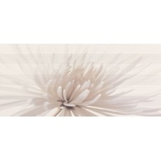 AVANGARDE WHITE INSERTO FLOWER 29.7х60 (плитка настенная, декор)