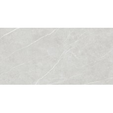 90X180 Elite Silver Matt з колекції Elite