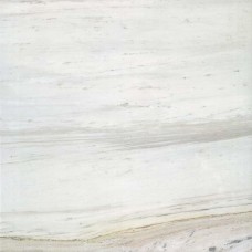 Palissandro Lucido 120x120 I Bianchi з колекції I Bianchi