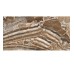 QORTECIA BROWN HG POL (1 сорт)