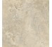 Плитка Invictus Cross Beige - 60x60 CSAISBEI60 Invictus Cross з колекції Invictus Cross Santagostino