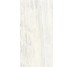 Плитка Invictus White Kry - 60x120 CSAINVWK12 Invictus з колекції Invictus Santagostino