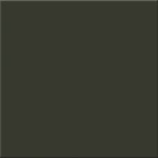TERRA GREEN 20х20 (для підлоги і стін) TERRA GREEN 20х20 (для підлоги і стін) Ceramica Ribesalbes — валенсійська традиція і сучасний дизайн