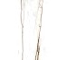 Плитка Am 2 Sahara Blanc Honed Ret - 59.6x119.2 99990 Archimarble 2 з колекції Archimarble 2 Cerdisa