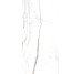 Плитка Am 2 Sahara Blanc Honed Ret - 59.6x119.2 99990 Archimarble 2 з колекції Archimarble 2 Cerdisa