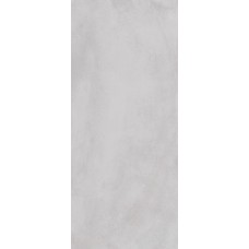 120X278 Pigmento Grigio Cenere Eln9 з колекції Pigmento